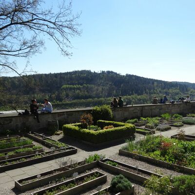  (Foto: KL GmbH Kloster Lorch)