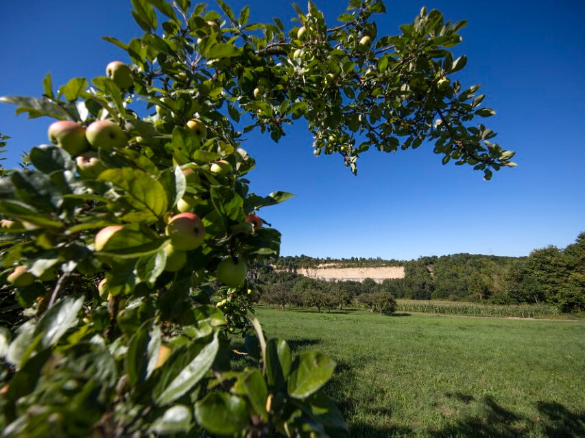 Naturschutzgebiet Unteres Remstal_3