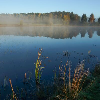 Frühnebel über den Weiherwiesen an einem Herbstmorgen (Foto: Gemeinde Essingen)