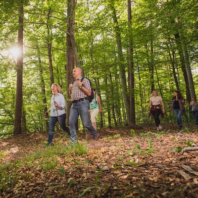 Hiking in the forest (Foto: BEBOP Media)