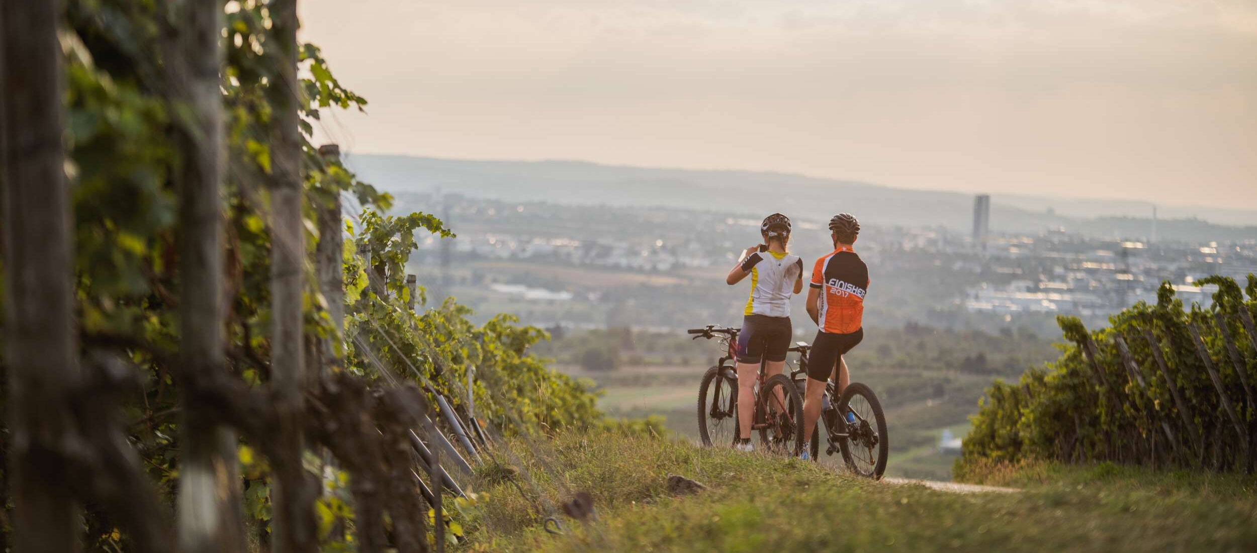Zwei Personen auf Fahrrädern auf einem Hügel mit Weinbergen im Hintergrund